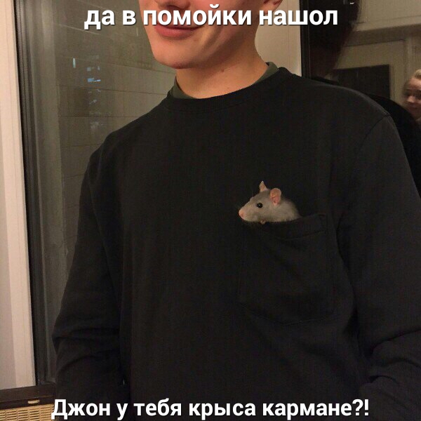 _Цжон у тебя крыса кармане