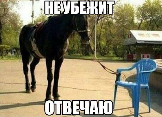 1 _в д З д _ _ _ мы А м _ і ТВШДЮ Щ _ Р