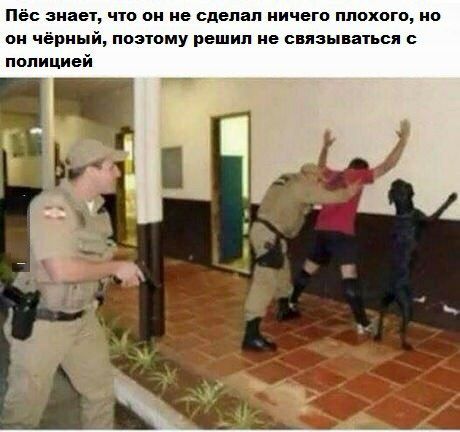 Пёс аиаеъ ч1о он не сделал ничего плохого но он чёрный потому решил не связываися с полицией