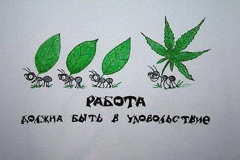 РАБОТА дошли выть УАФБЩЬСТБИЭ