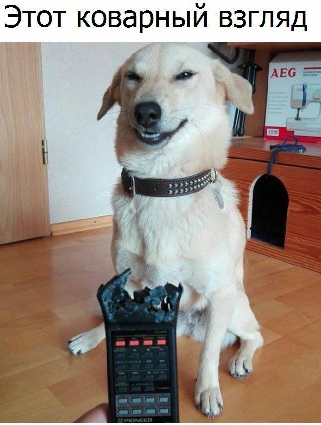 Этот коварный взгляд