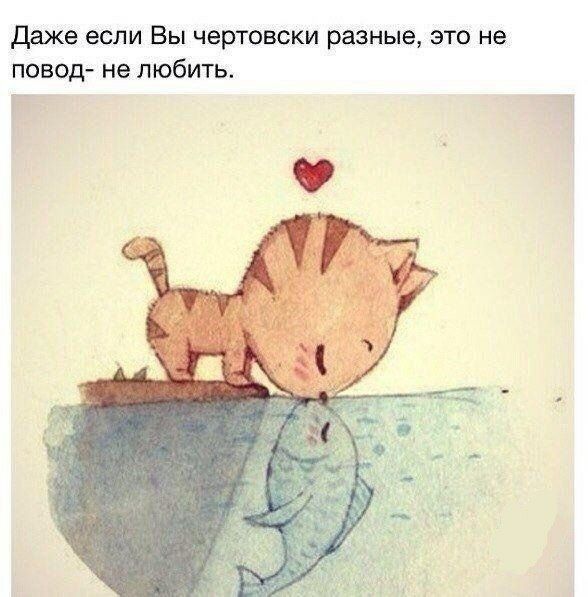 даже если Вы чертовски разные это не повод не любить