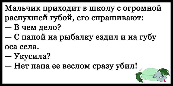 Мальчик приходит в школу с огромной распухшей губой его спрашивают В чем дело С папой на рыбалку ездил и на губу оса села Укусила Нет папа ее веслом сразу убил