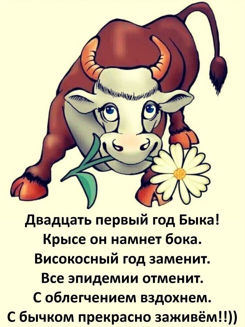 двадцать первый год Быка Крысе он намнет бока Високосный год заменит Все эпидемии отменит С облегчением вздохнем С бычком прекрасно заживём
