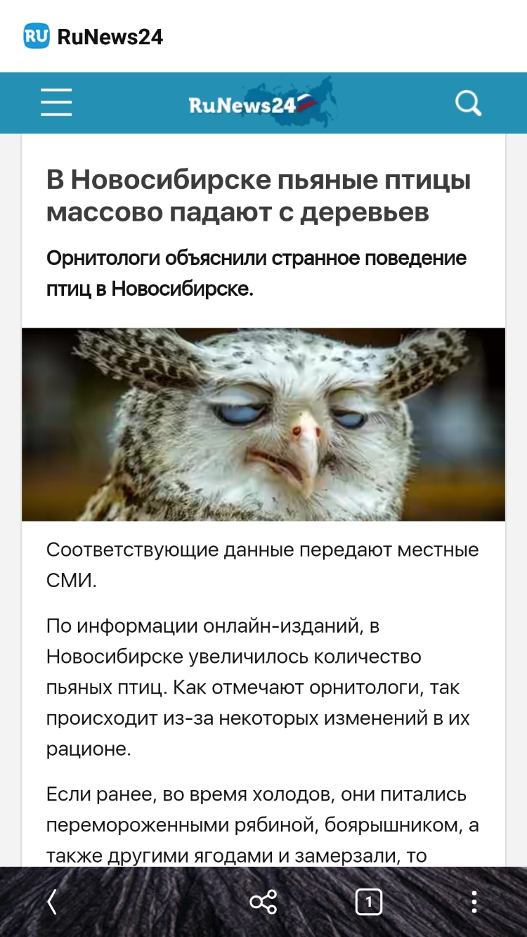ВиМешз24 В Новосибирске пьяные птицы массово падают с деревьев Орнитологи объяснили странное поведение птиц в Новосибирске СООТВЕТСТВУЮЩИЭ ДЭННЫЭ передают МЭСТНЫе СМИ По информации онлайнизданий в Новосибирске увеличилось количество пьяных птиц Как отмечают орнитологи так происходит изза некоторых изменений в их рационе Если ранее во время холодов они питались перемороженными рябиной боярышником а