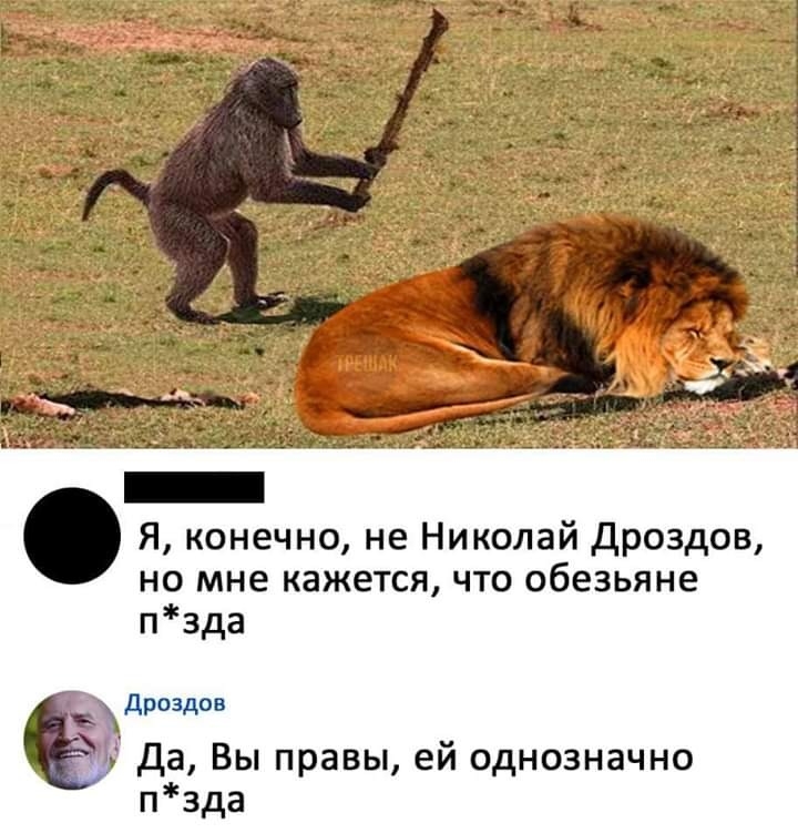 Я конечно не Николай дроздов но мне кажется что обезьяне пзда дроздоа да Вы правы ей однозначно пзда