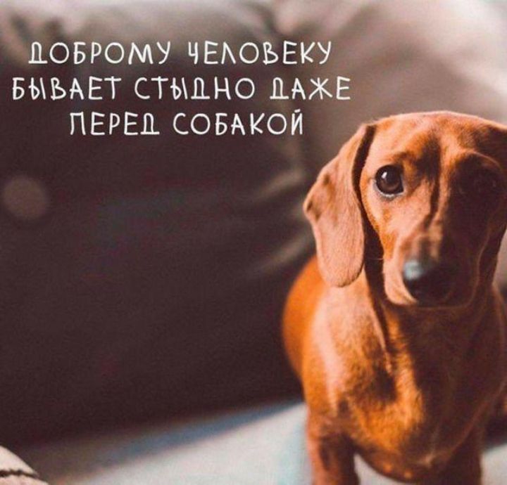 выывт стыдно мжЕ _ ПЕРЕЦ совмюи