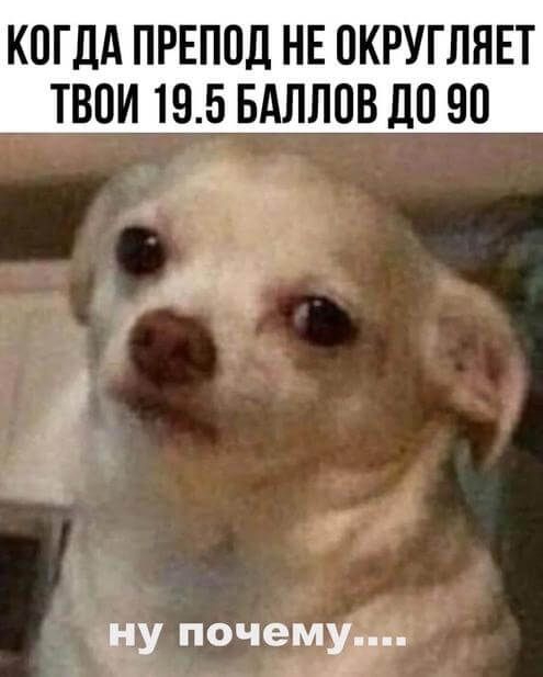 КПГДА ПРЕПОД НЕ ПКРУГЛЯЕТ ТВОИ 195 БАЛЛПВ 11090