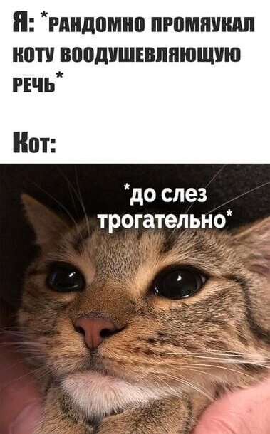 П гдндпмип пгпмпиидп ипти вподишшппющчю пчь нот до слез трогательно