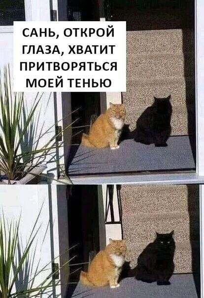 САНЬ открой ГЛАЗА хвдтит притворяться мовй тенью