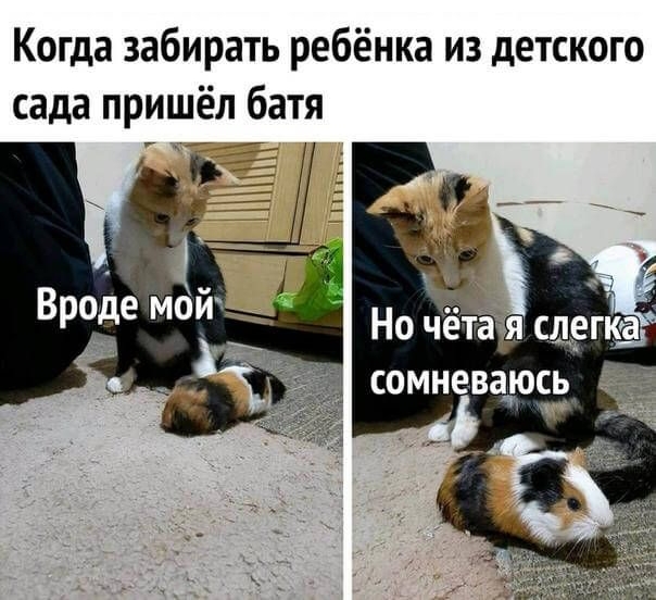 Когда забирать ребёнка из детского сада пришёл батя