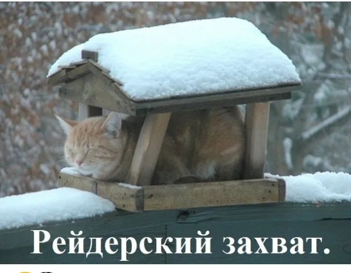 Ъ __ _ Рейдерский захват
