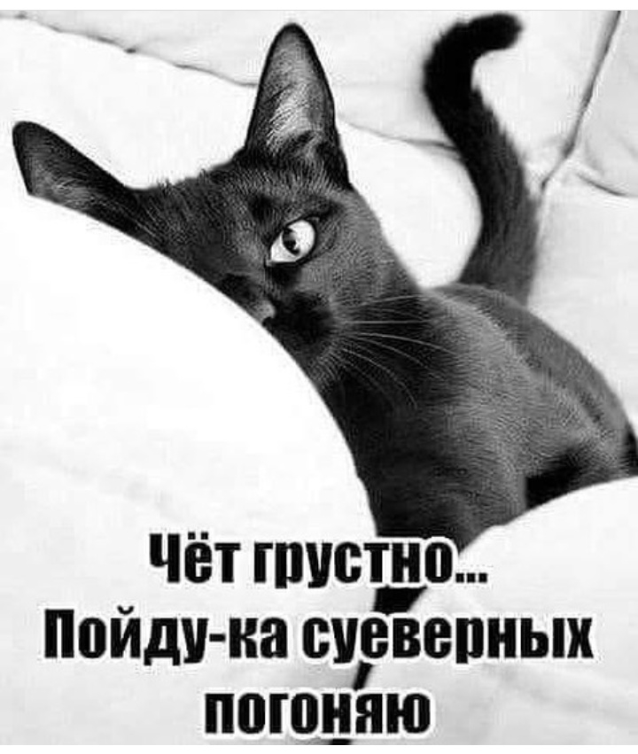ЧЁТ ППЮПШ Пойду на БВВПНЫХ ПВШНЯЮ