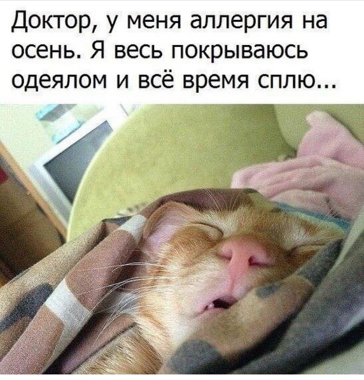 Доктор у меня аллергия на осень Я весь покрываюсь одеялом и всё время сплю