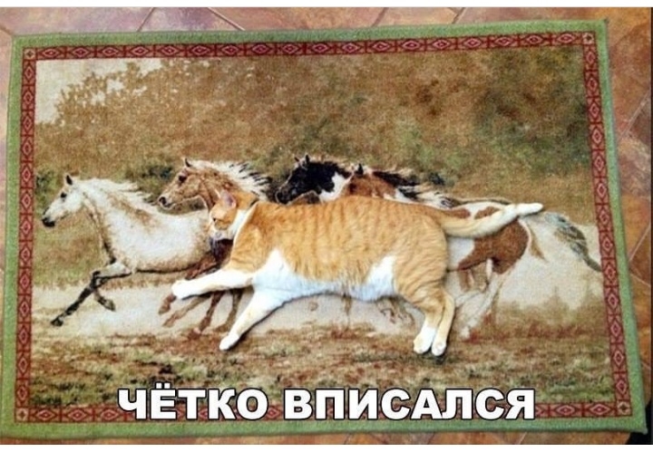 _ _ _ ы чЁткд впйёдітся