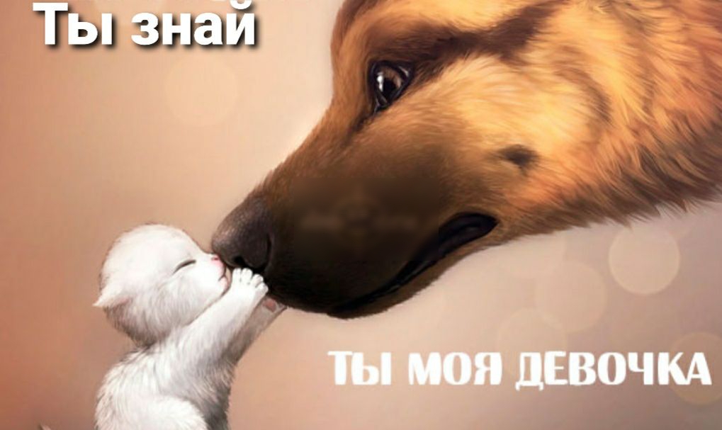 Гы 3513151