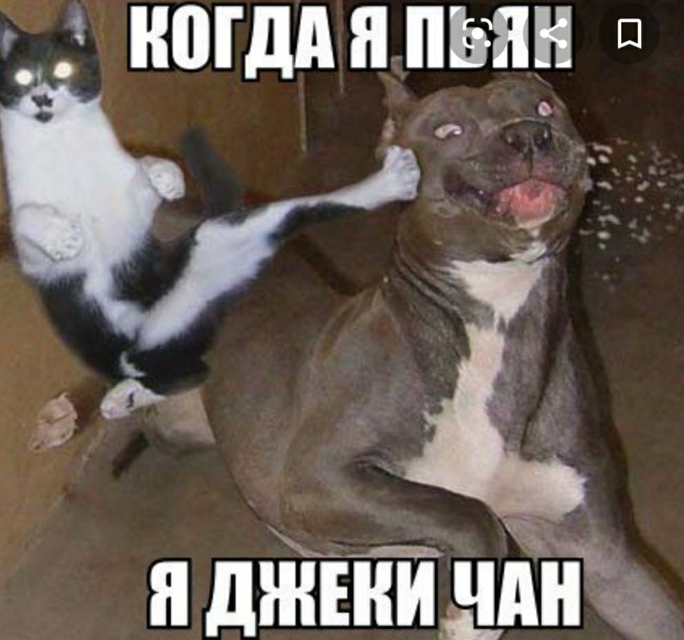НШДАЯПЬЯН П