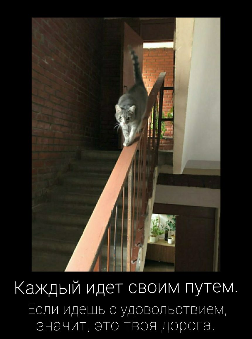Каждый идет своим путем ЕСЛИ ИДЭШЬ С УДОВОПЬСТВИ6М ЗНЭЧИТ ЭТО ТВОЯ ДОООГЭ