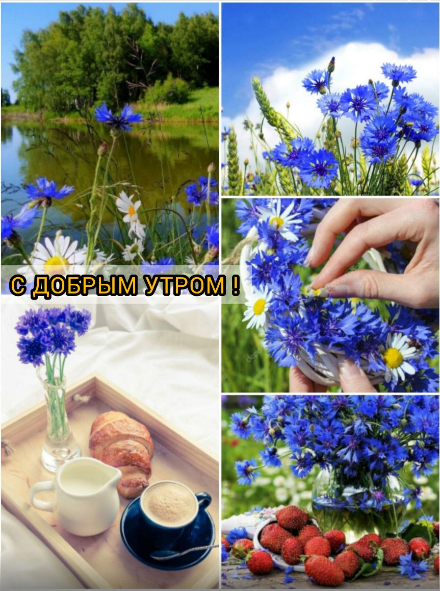 я довр УРТМП