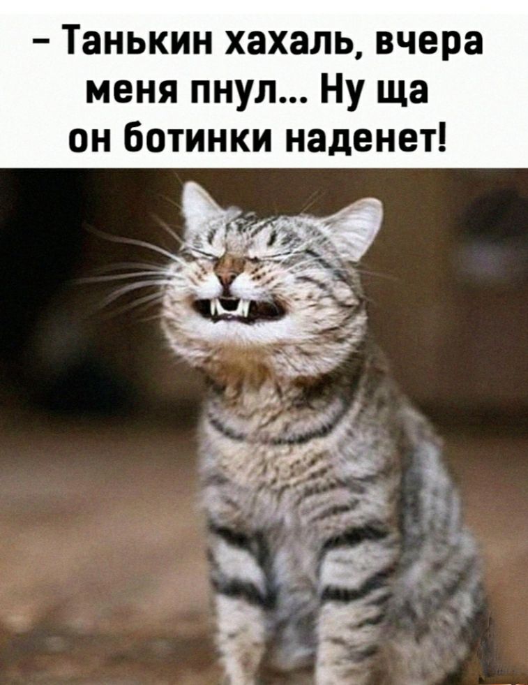 Танькин хахаль вчера меня пнул Ну ща он ботинки наденет