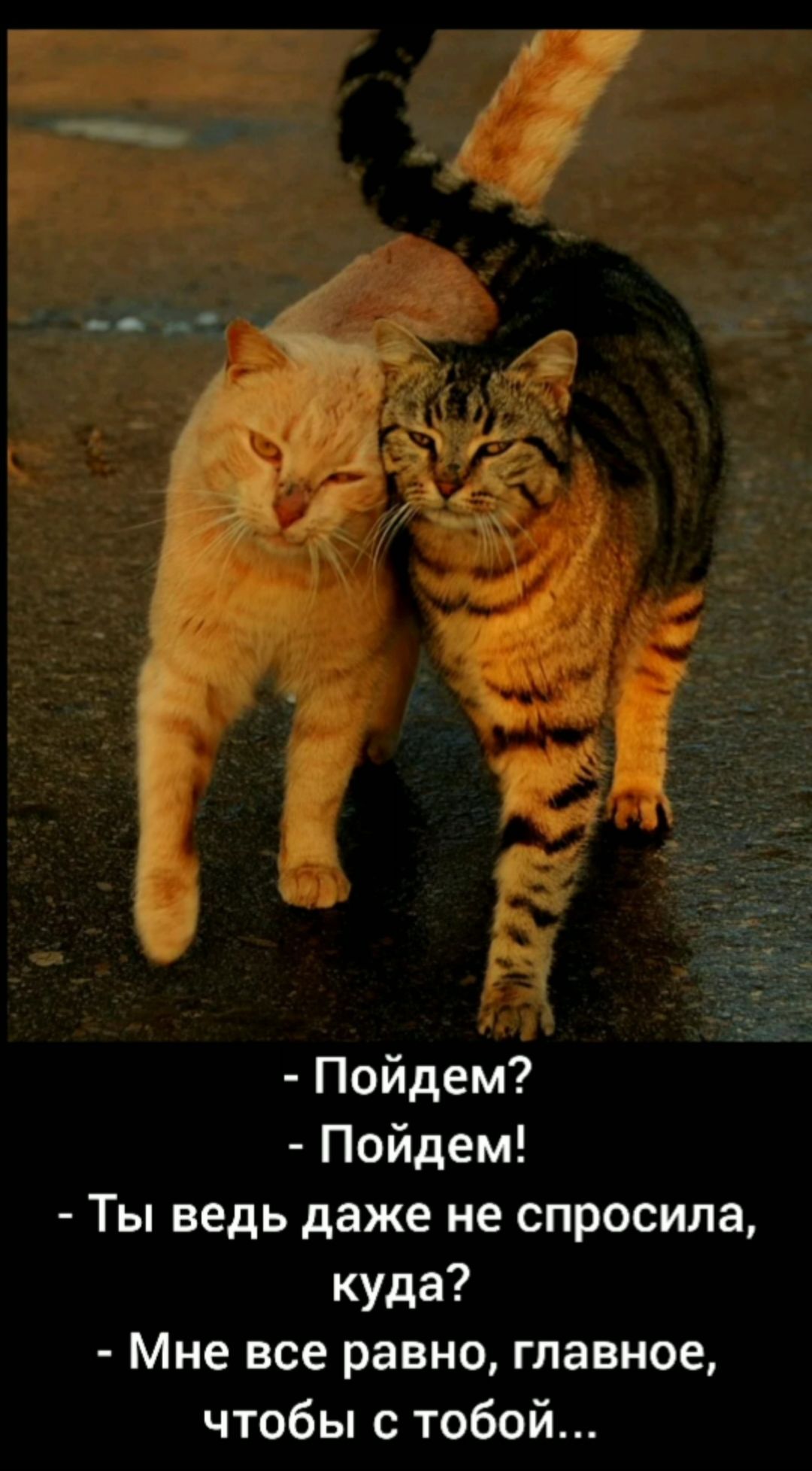 Пойдем Пойдем Ты ведь даже не спросила куда Мне все равно главное чтобы с тобой