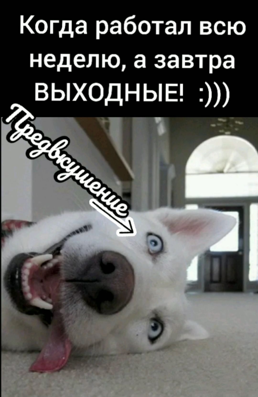 Когда работал всю неделю а завтра ВЫХОДНЫЕ