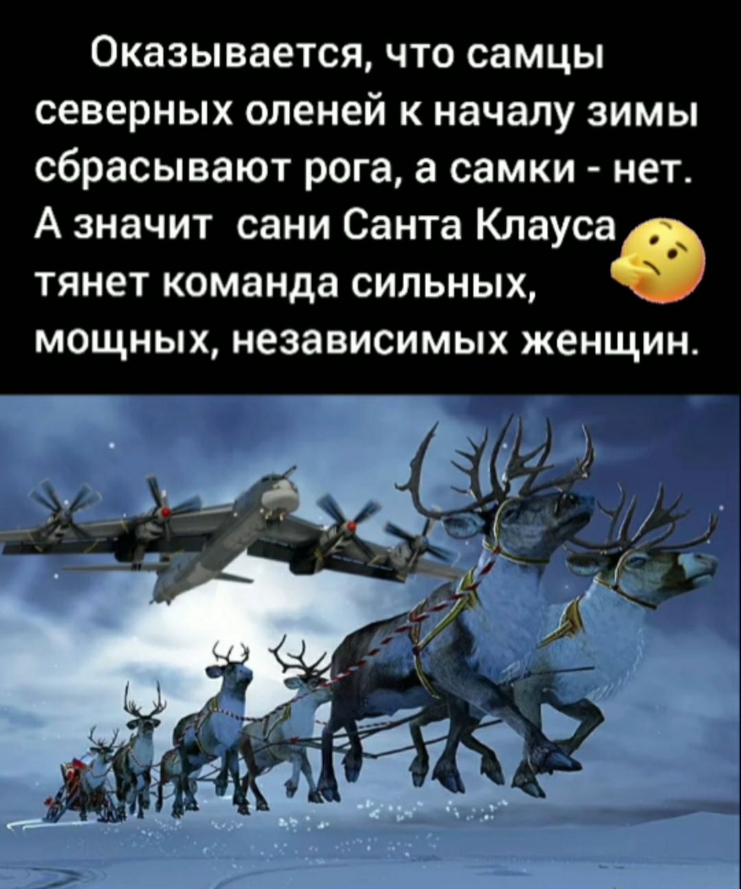 Оказывается что самцы северных оленей к началу зимы сбрасывают рога а самки нет А значит сани Санта Клауса тянет команда сильных МОЩНЫХ независимых ЖЕНЩИН