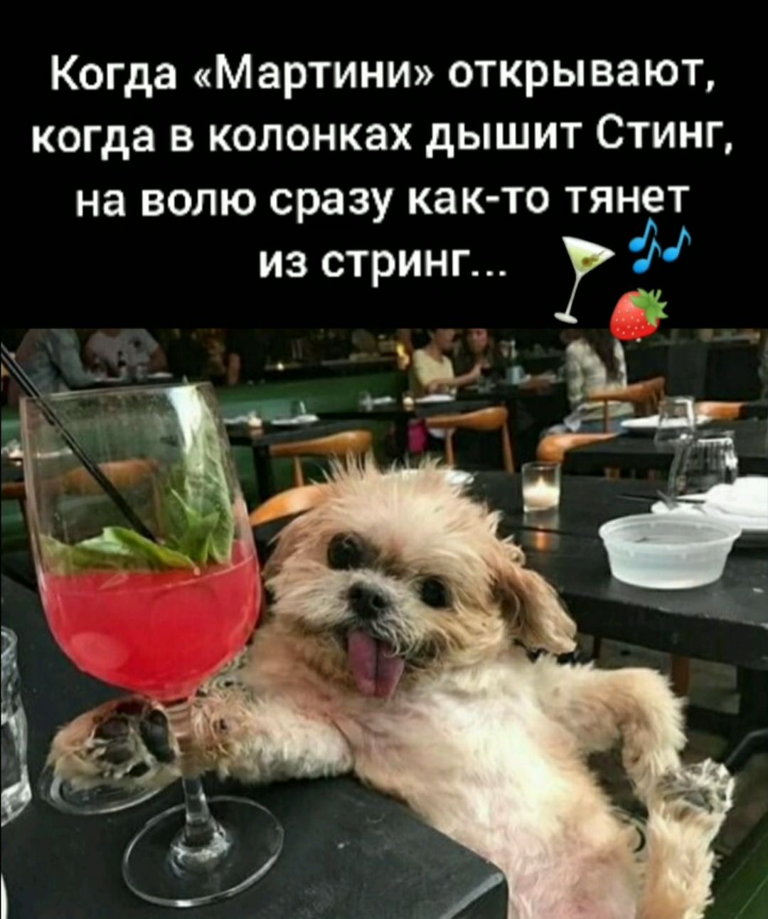 Когда Мартини открывают когда в колонках дышит Стинг на волю сразу как то тянет из стринг М