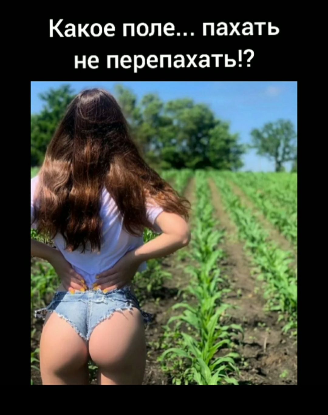 Какое поле пахать не перепахать