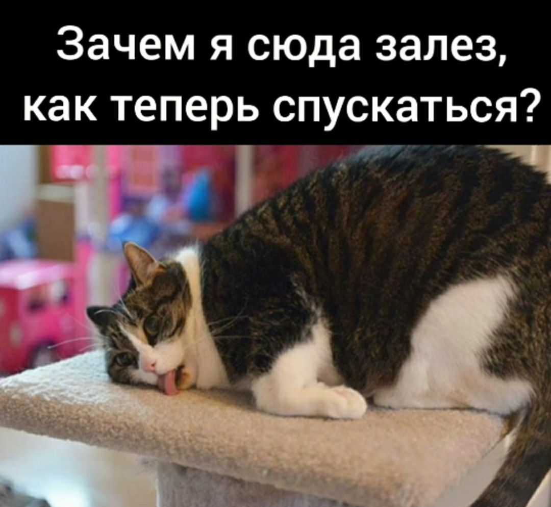 Зачем я сюда залез как теперь спускаться л 1