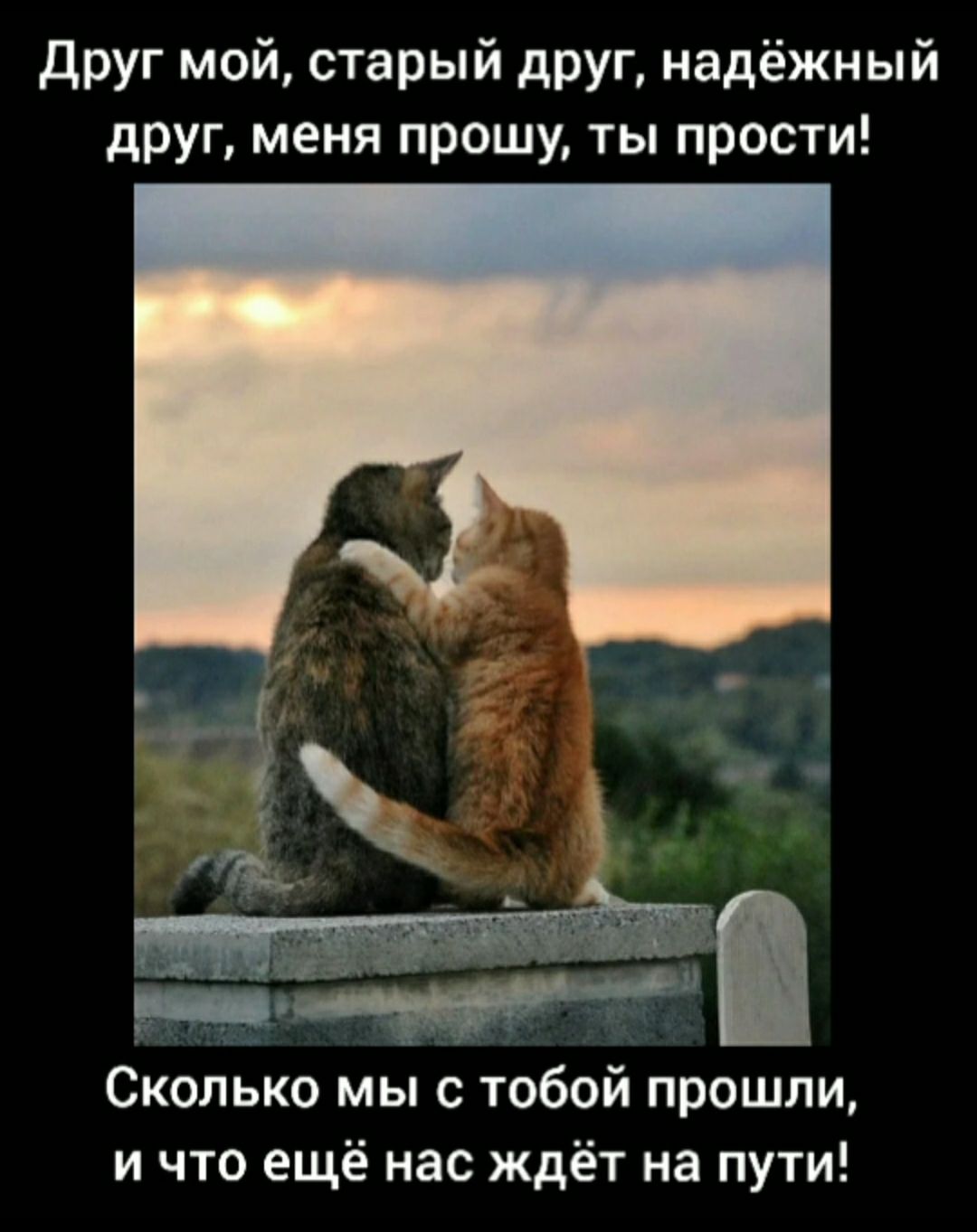 друг мой старый друг надёжный друг меня прошу ты прости Ско ько мы с тобой прошли и что ещё нас ждёт на пути