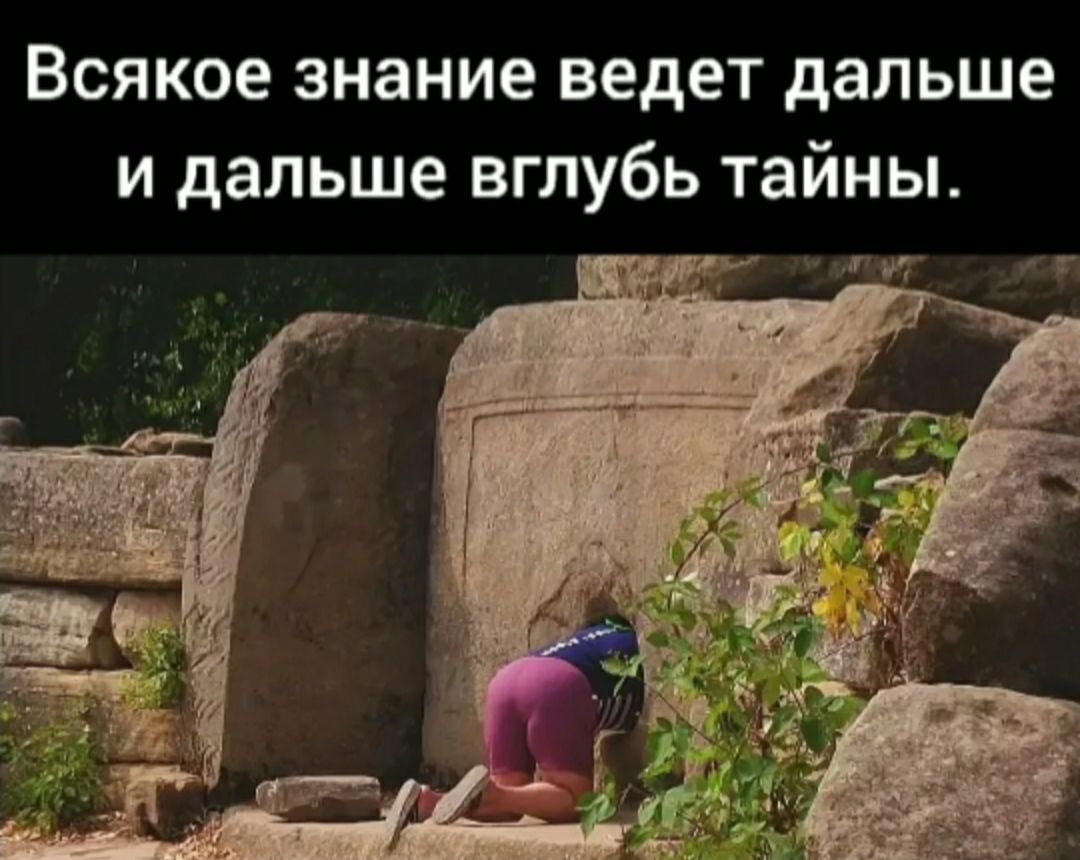 всякое знание ведет дальше И дальше ВГЛУбЬ тайны