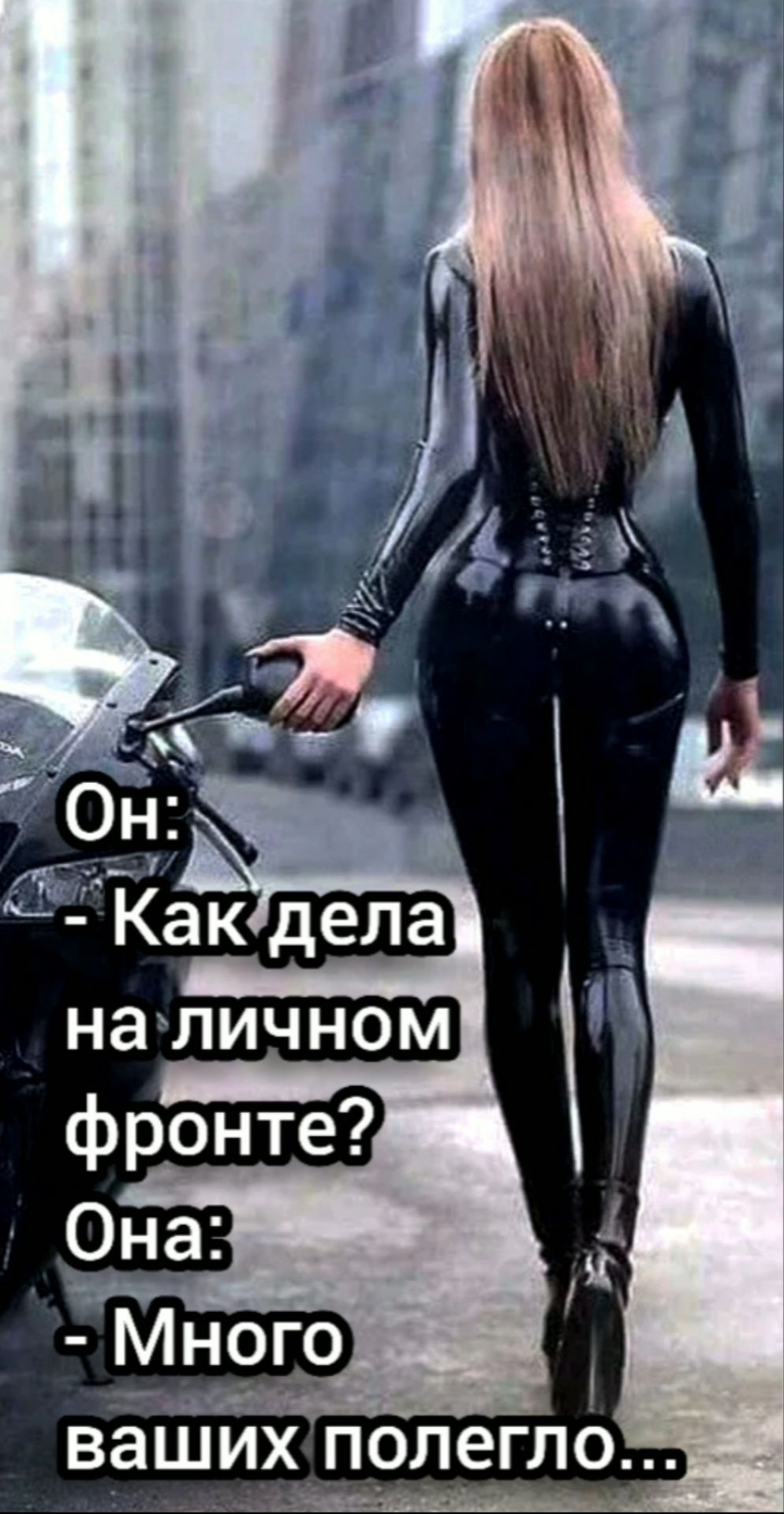 Вашихпопеглб ь