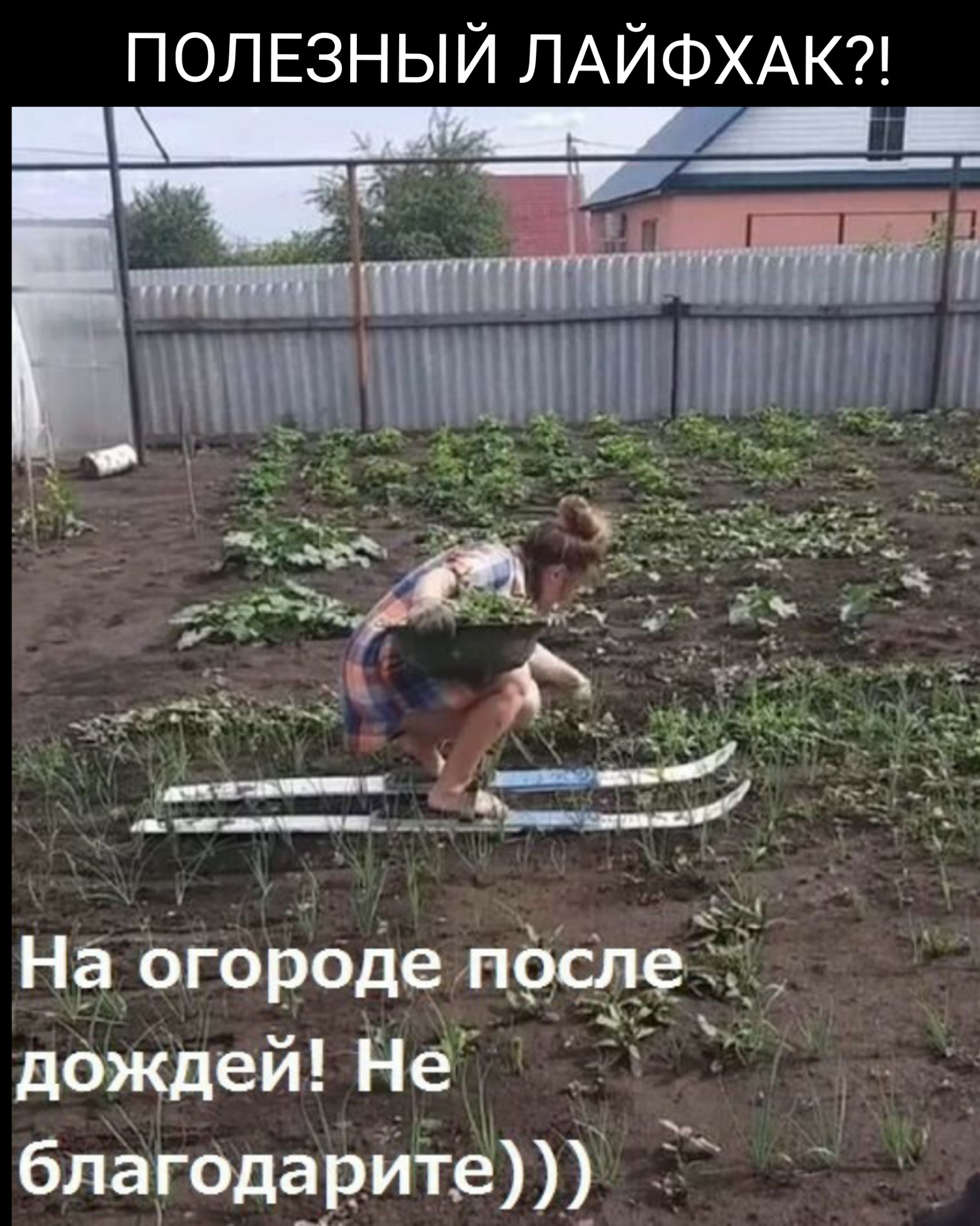 ПОЛЕЗНЫЙ ЛАЙФХАК На огор0деп ддждей Нё благодарит