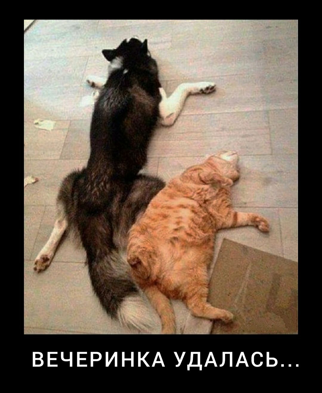 7 _ 7 ВЕЧЕРИНКА УДАЛАСЬ