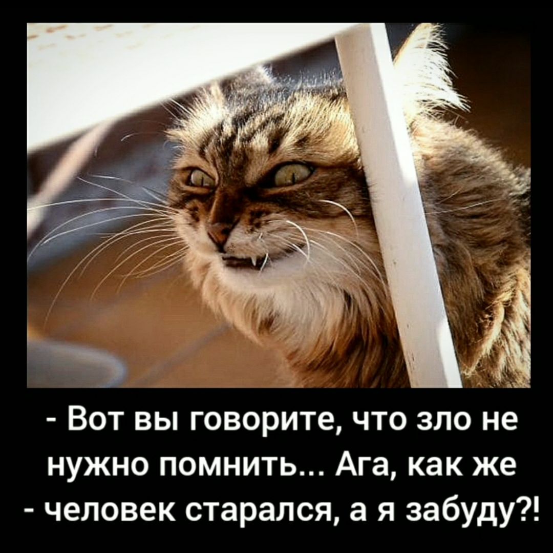 Вот вы говорите что зло не нужно помнить Ага как же человек старался а я забуду