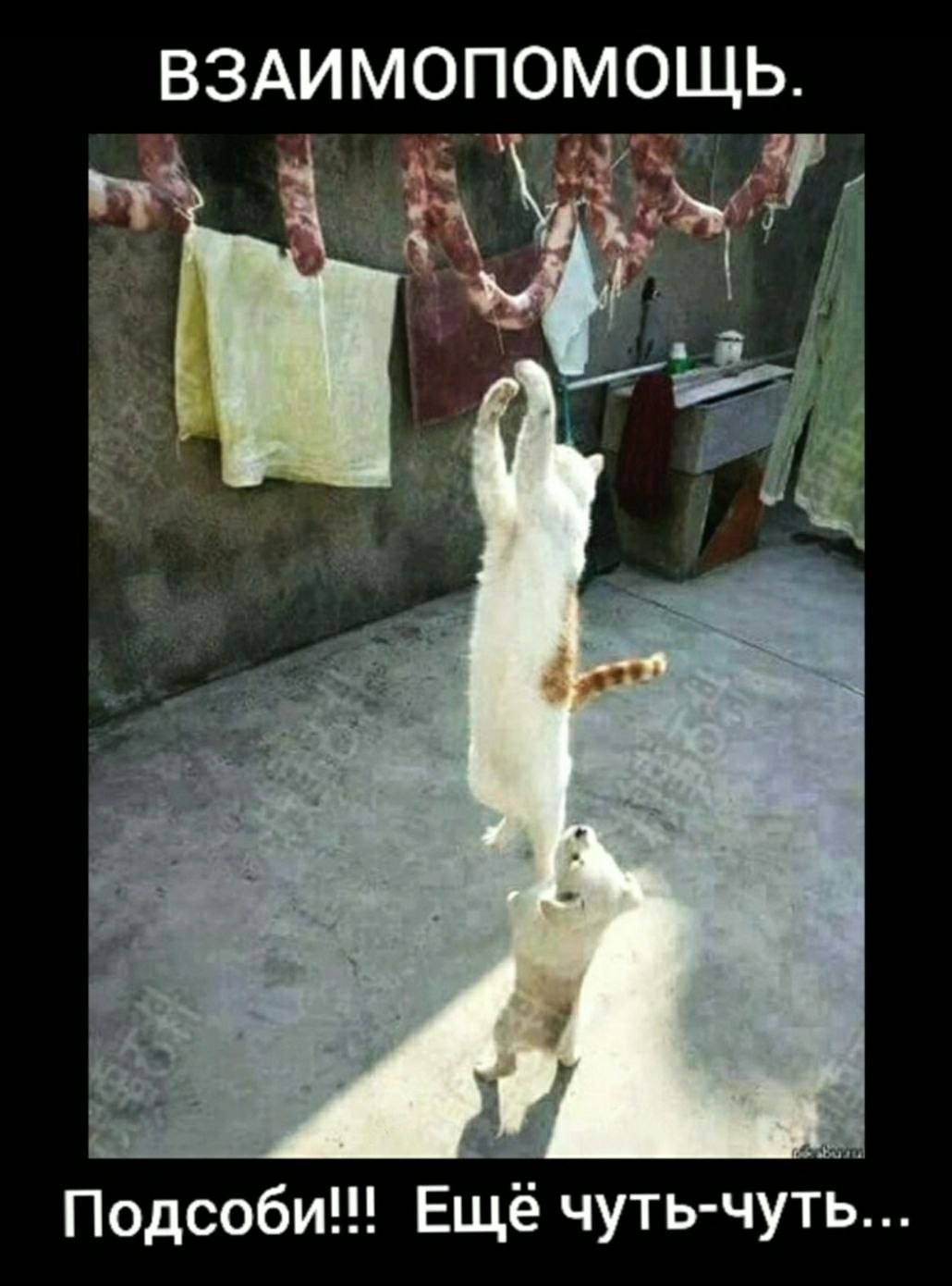 ВЗАИМОПОМОЩЬ Подсоби Ещё чуть чутц
