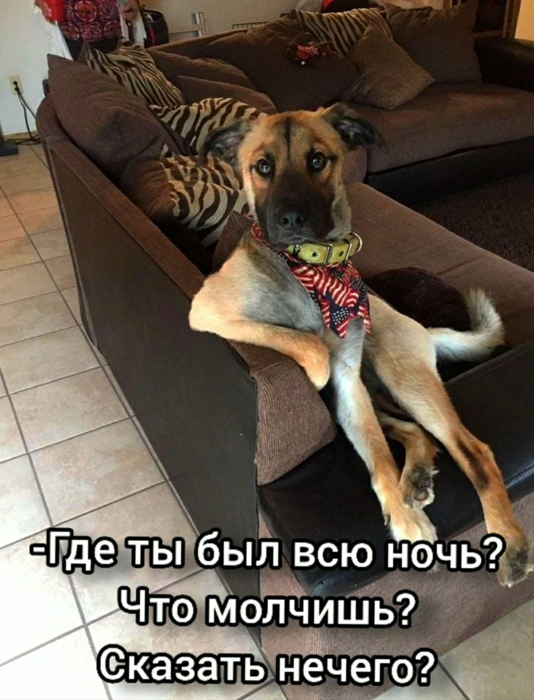 ь Е ыбыл всю ночь