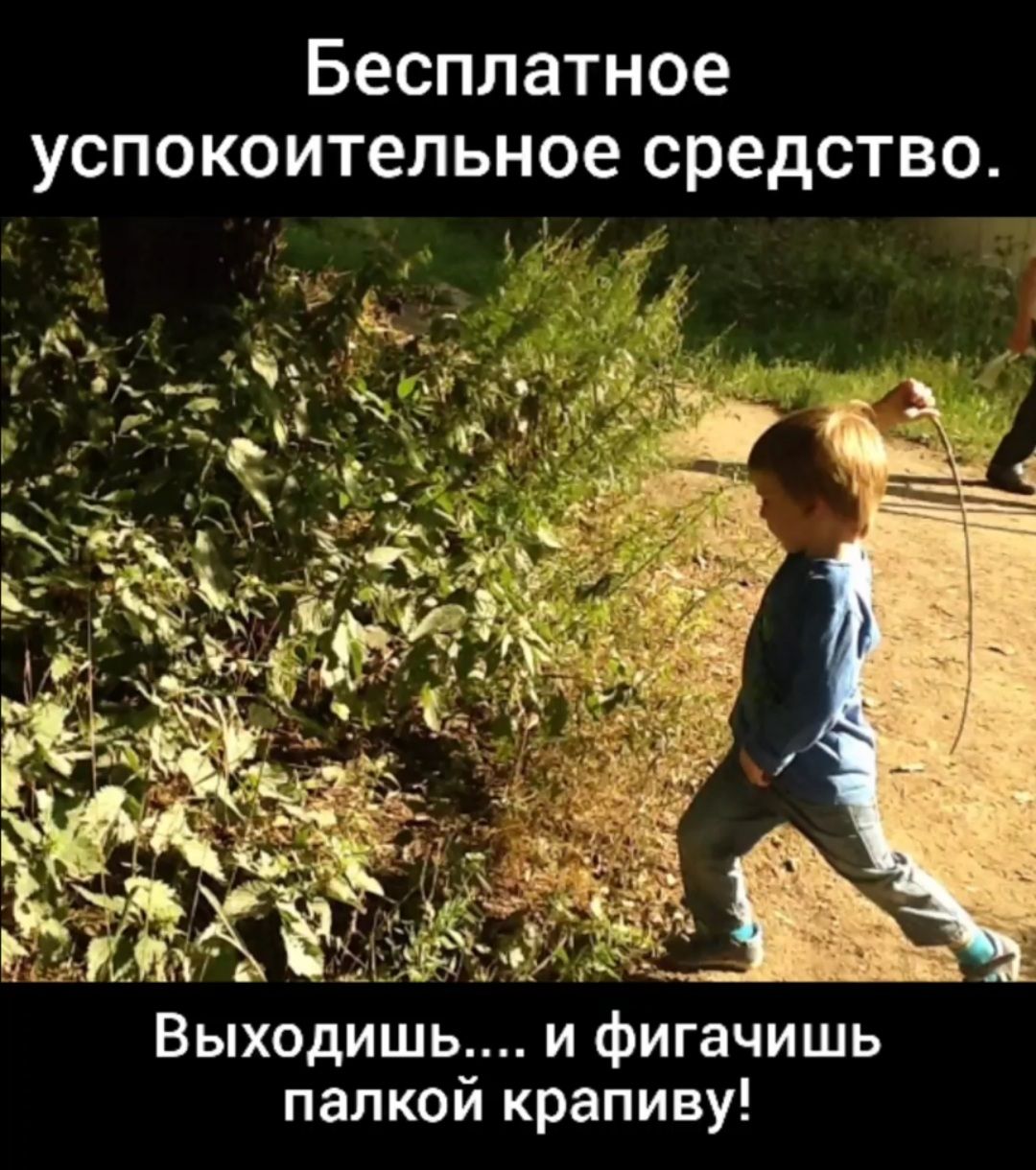 Бесплатное успокоительное средство М Выходишь и фигачишь палкой крапиву