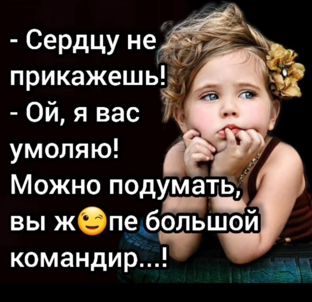 СеРдцу нек и прикажешь Ой я вас умоляю командир