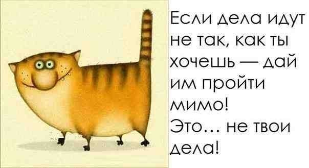 ЕСАИ АеАО идут не ток кок ты хочешь дой им пройти мимо Это не твои АеАО