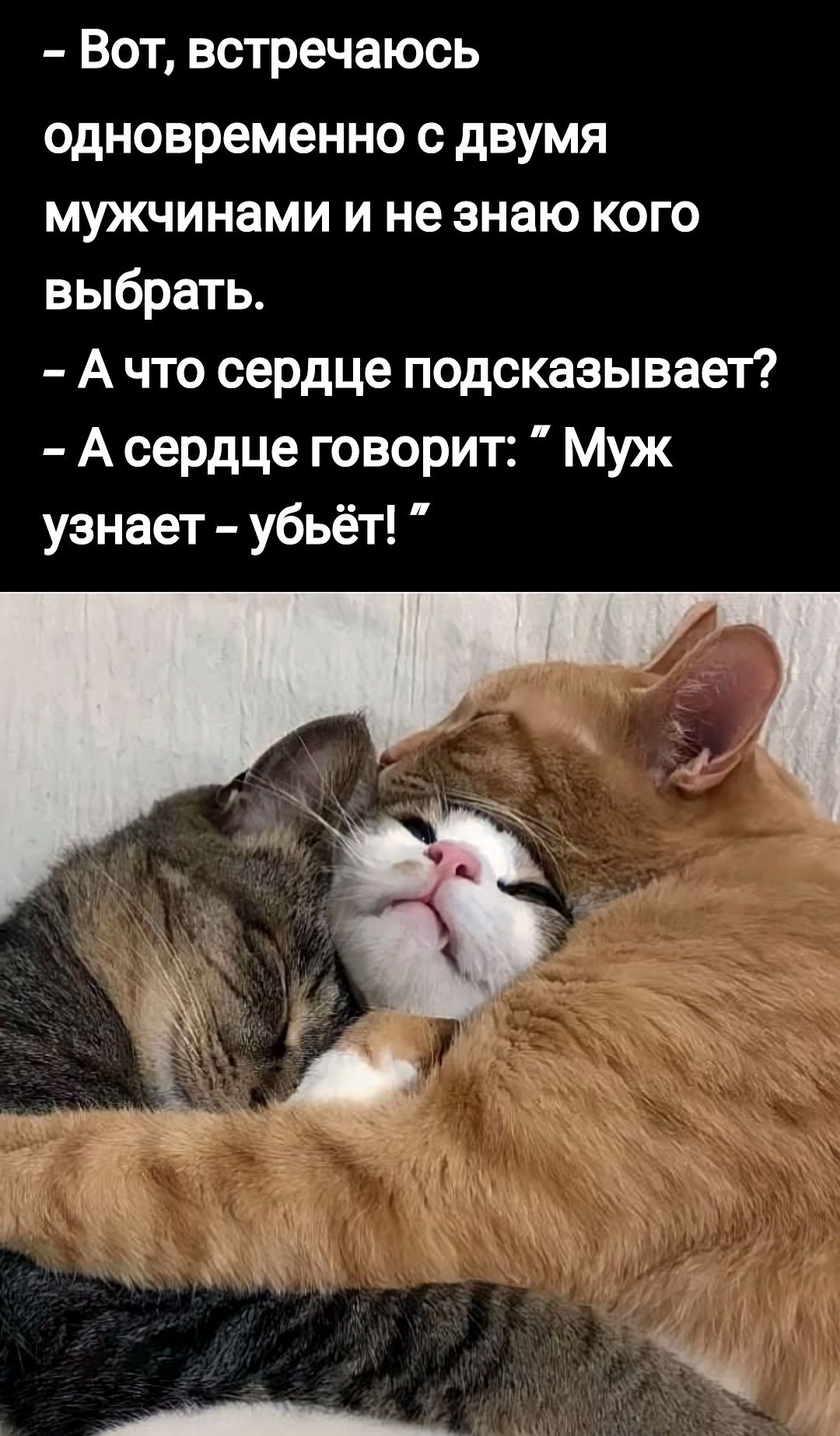 Вот встречаюсь одновременно с двумя мужчинами и не знаю кого выбрать А что сердце подсказывает А сердце говорит Муж узнает убьёт