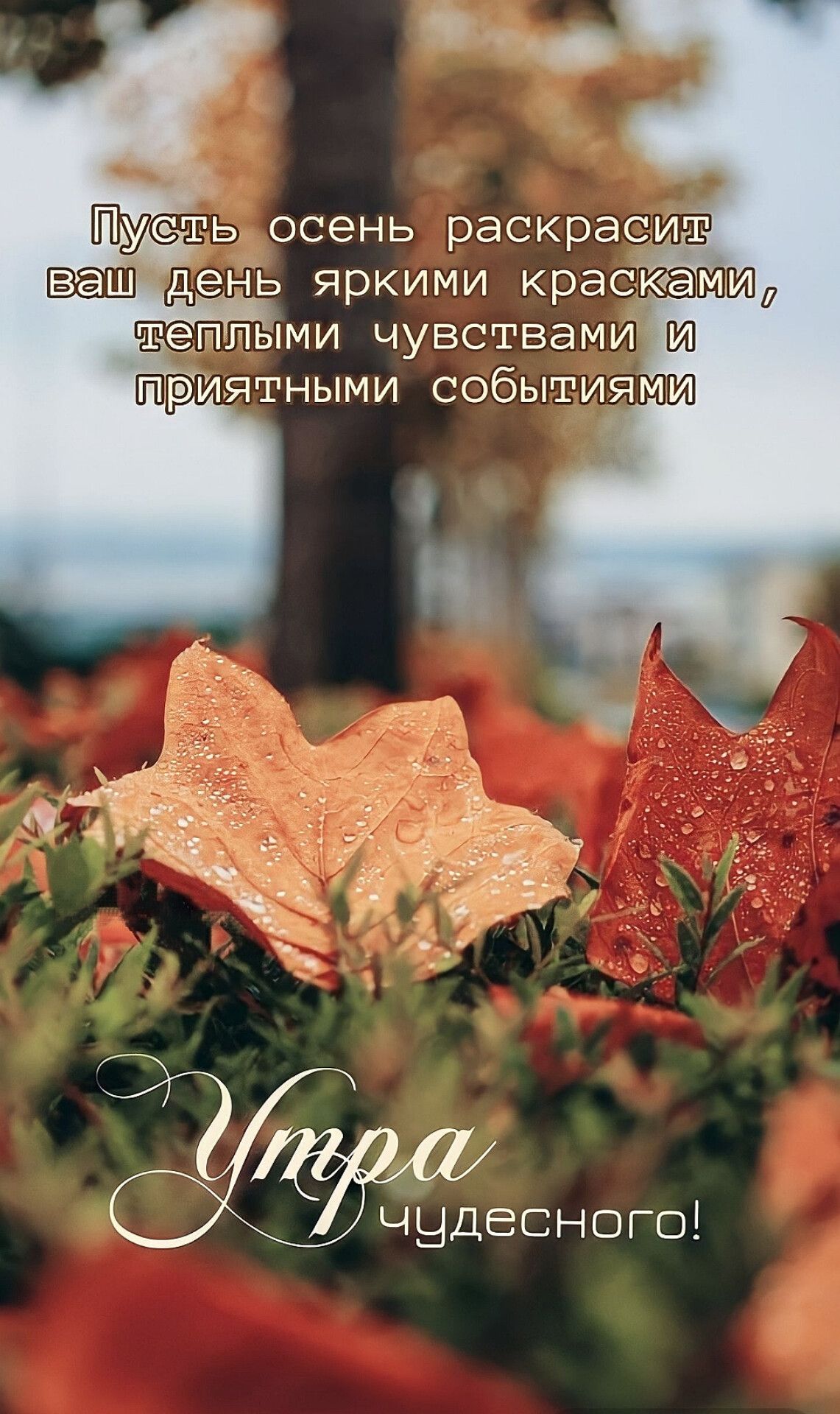чудесного