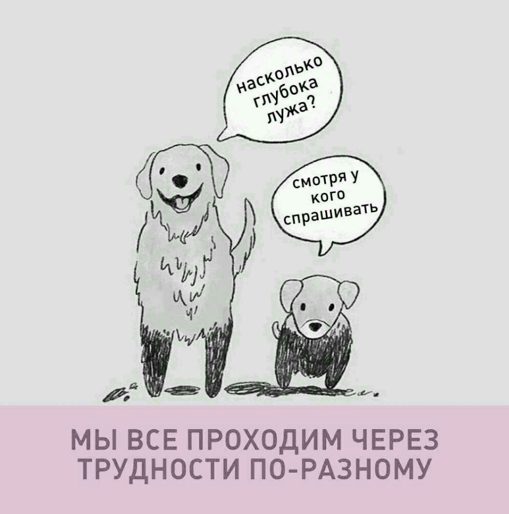 МЫ ВСЕ ПРОХОДИМ ЧЕРЕЗ ТРУДНОСТИ ПО РАЗНОМУ