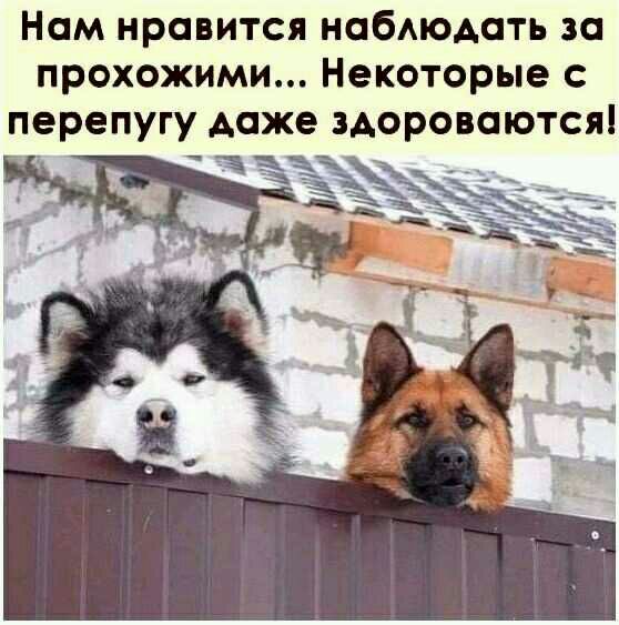 Нам нравится нобАЮАоть за прохожими Некоторые с