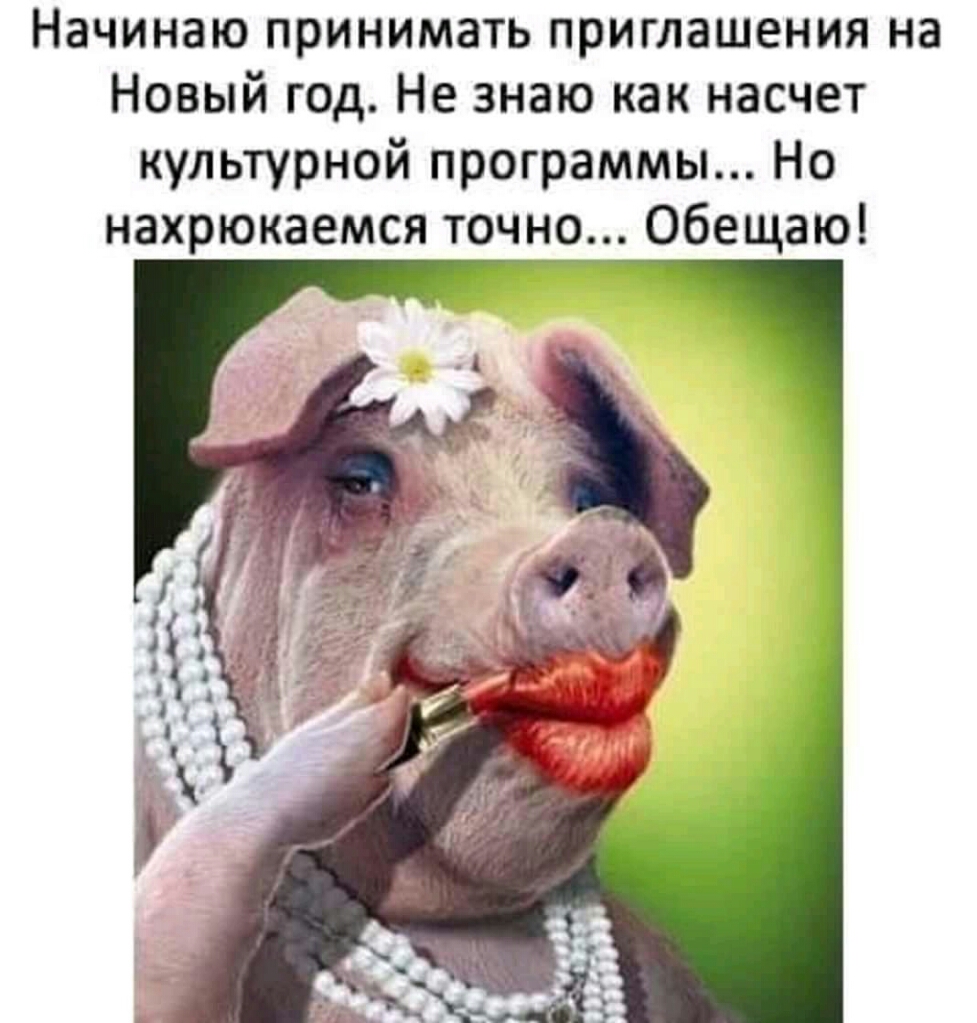 Начинаю принимать приглашения на Новый год Не знаю как насчет культурной программы Но нахрюкаемся точно Обещаю