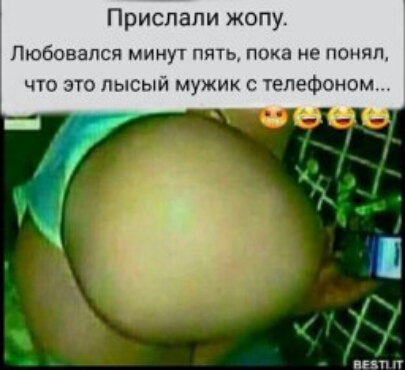 Прислали жопу Пюбовапся минут пять пока не понял что это лысый мужик с телефоном ннп