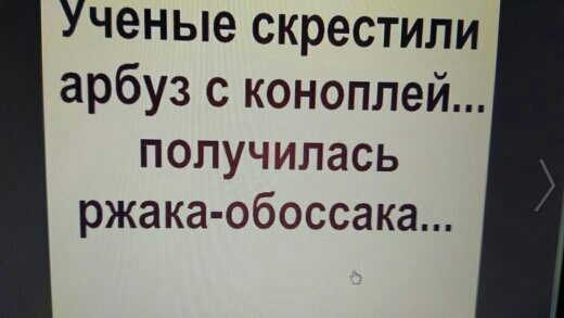 Ученые скрестили арбуз с коноплей получилась ржака обоссака