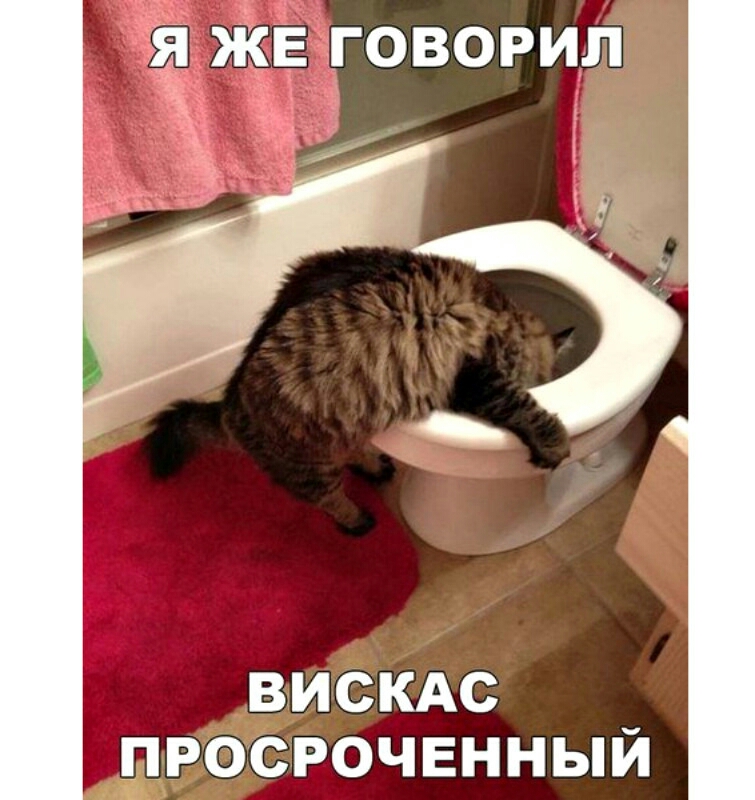 ЖЁГВРИЛ Ьц ВИСКАС просроченный