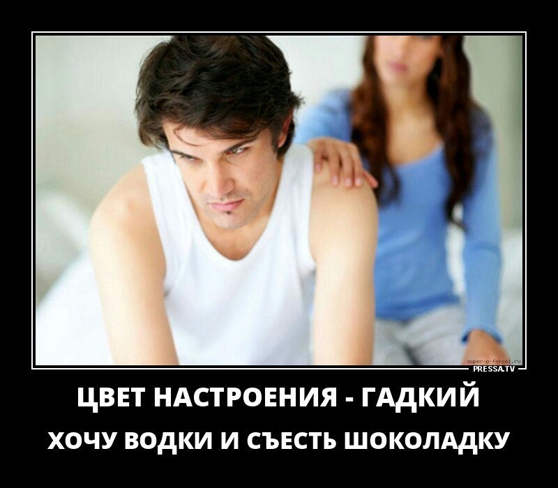 зззззз цввт НАСТРОЕНИЯ ГАдКИЙ ХОЧУ ВОДКИ И СЪЕСТЬ ШОКОЛАДКУ